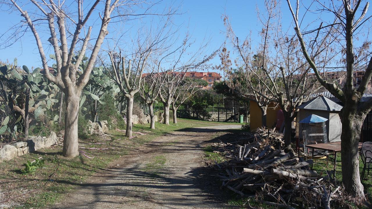 Gasthaus Agriturismo Masseria I Risi SantʼEufemia Lamezia Exterior foto