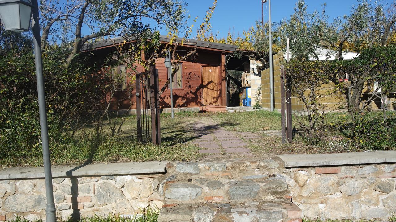 Gasthaus Agriturismo Masseria I Risi SantʼEufemia Lamezia Exterior foto